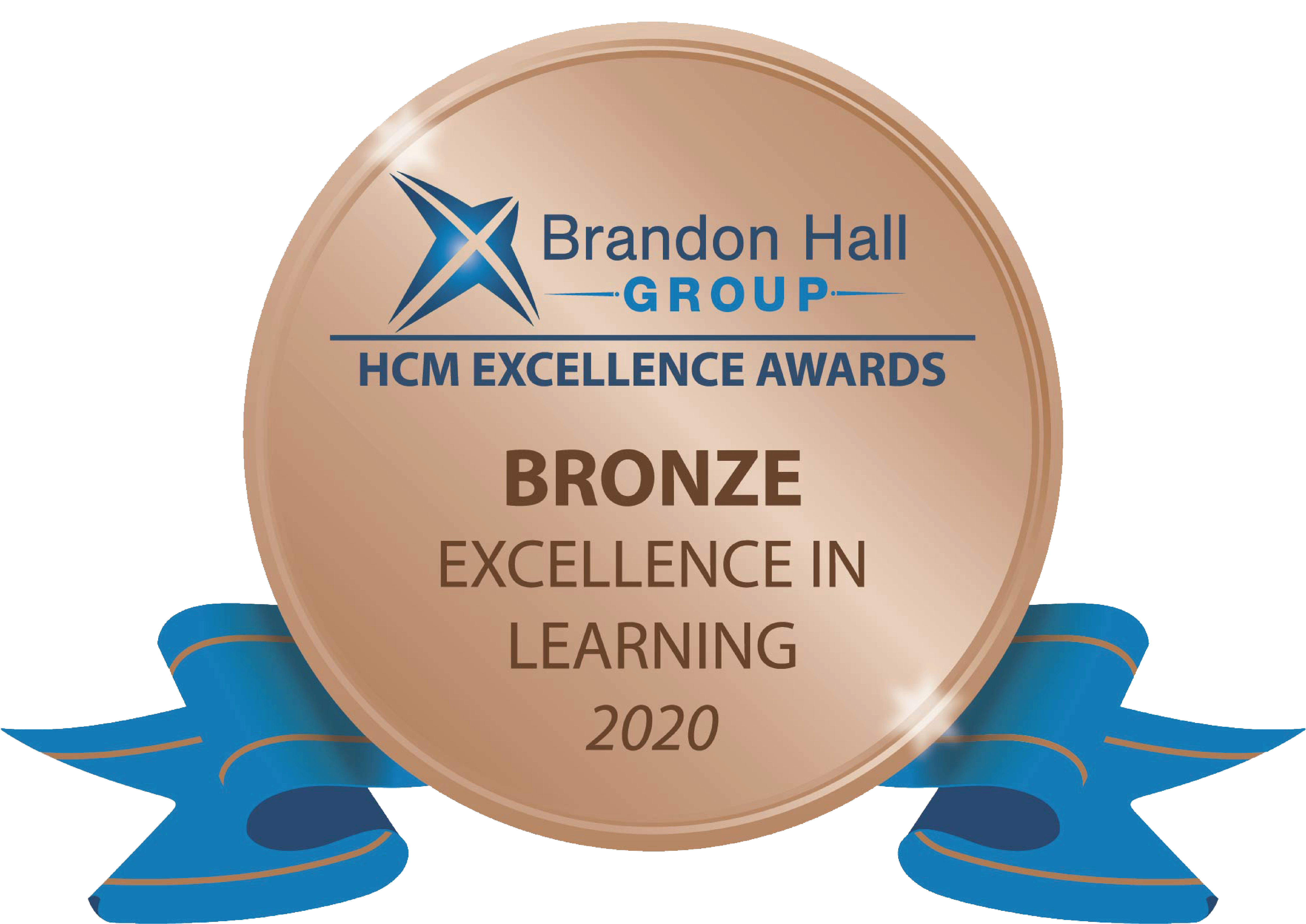 Bronze medal for Excellence in Learning 2020